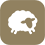 Flocknote subscribe link